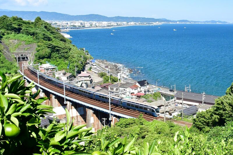 東海道線を走る特急「サフィール踊り子」