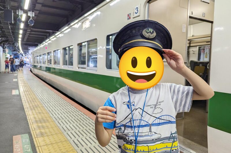 「現役乗務員・駅社員と行く!! 185系回送ルートの旅」ツアー(2024年撮影)